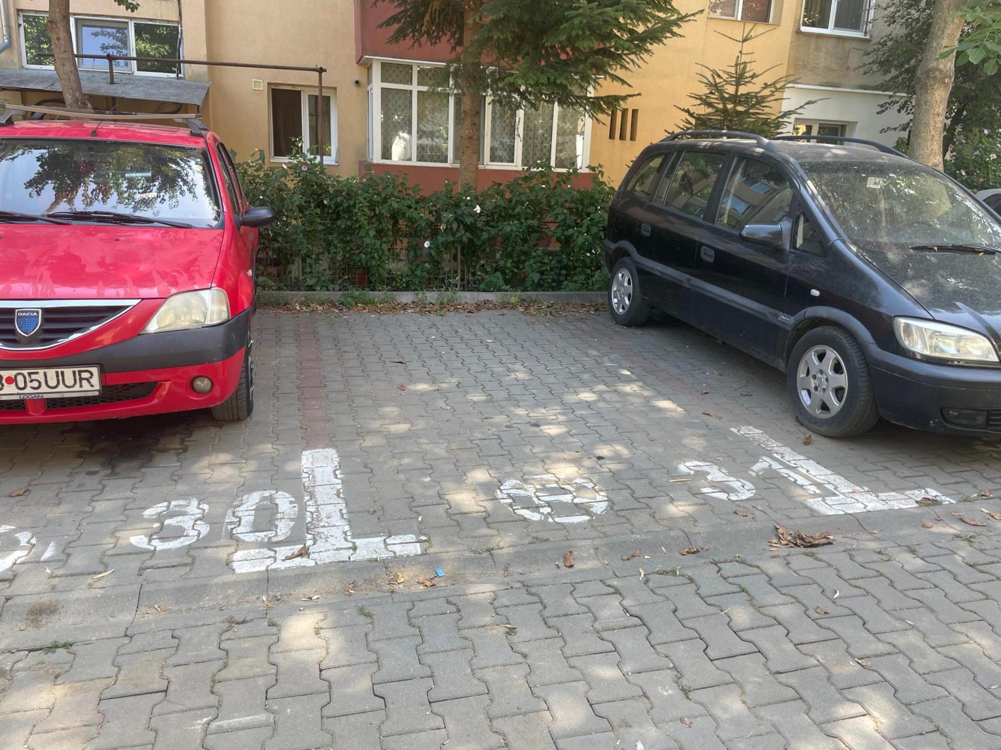 Kitty Sunflower Apartment ألبا يوليا المظهر الخارجي الصورة